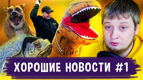 Природа восстанавливается / Цветы бесплатно / Сколько стоит дракон ...
