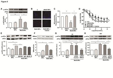 Microparticles From Metabolic Syndrome Patients Mets Mps Induce