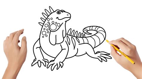 Cómo dibujar una iguana Dibujos sencillos YouTube