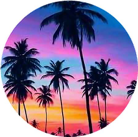 Palm Tree Sunset Drawing at PaintingValley.com | Explore collection of ...