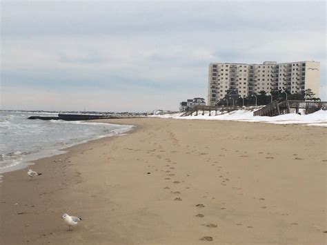 Ocean View Beach Park reviews, photos - Norfolk - GayCities Norfolk