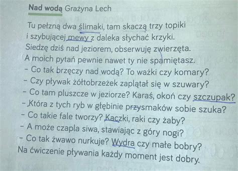 Wypisz Z Wiersza Po Dwie Wskazane Cz Ci Mowy Rzeczowniki W Liczbie