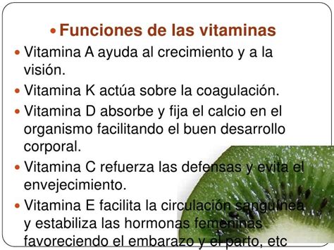 Funciones De Las Vitaminas Porn Sex Picture