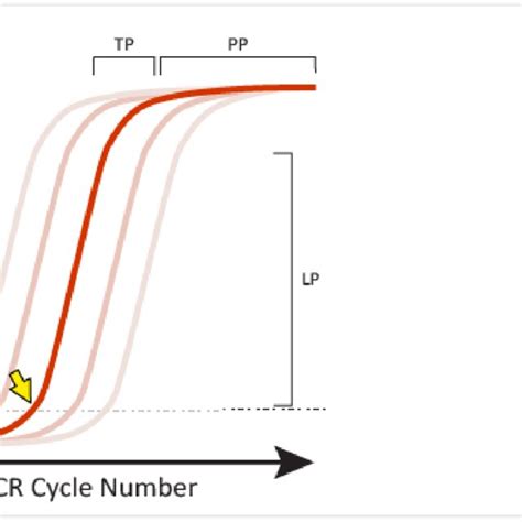 Examples of satisfactory sigmoidal amplification curve shape when ...