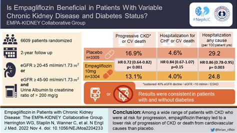 The Empa Kidney Visual Abstract Nephjc