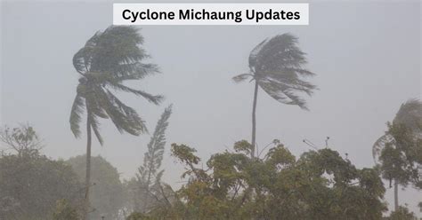 Cyclone Michaung Live Updates