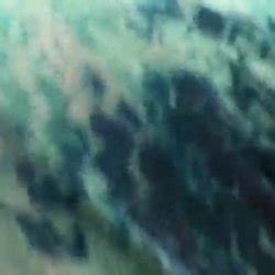 Empregada Porn Photos Videos EroMe