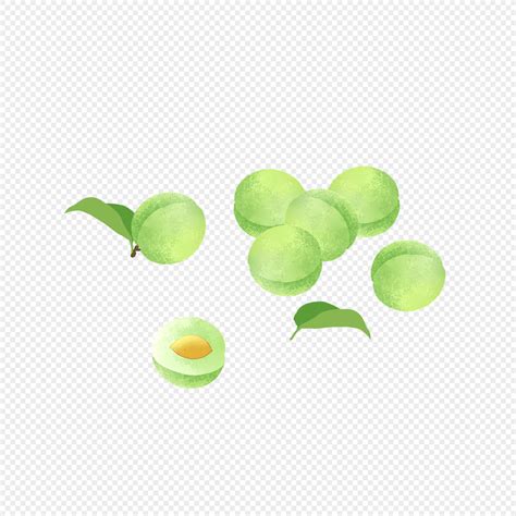 Greengage Fruit PNG Images With Transparent Background | Free Download On Lovepik