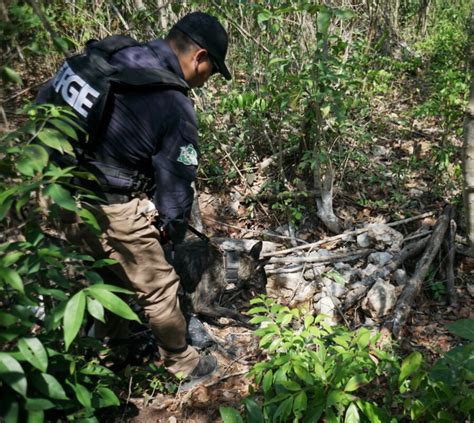 Localizan Restos Seos Durante Operativo De B Squeda En Canc N