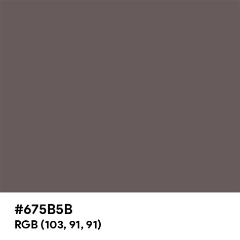 Greyish Brown color hex code is #675B5B