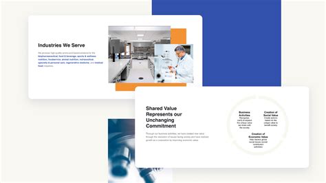 Ajinomoto: Macro Website, Portal Redesign, & Consolidation 