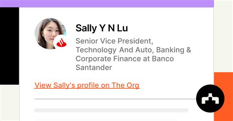 Sally Y N Lu Senior Vice President Technology And Auto Banking