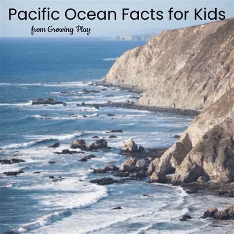 Pacific Ocean Facts For Kids Growing Play