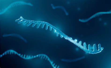 RNA: The Secret Helper in Biology and Why It Matters in Bioinformatics