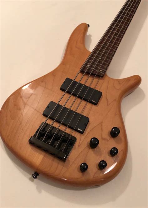 Ibanez Sdgr 5 String Bass Marrs Audio