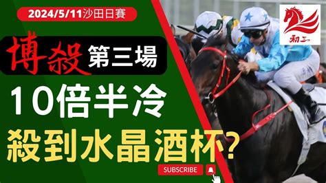 賽馬貼士 沙田賽事2024年5月11日第三場10倍半冷，殺到水晶酒杯 Youtube