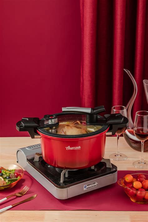 Amercook Alfetta Aluminum Cookware Non-Stick Micro Pressure Cooker 24cm ...