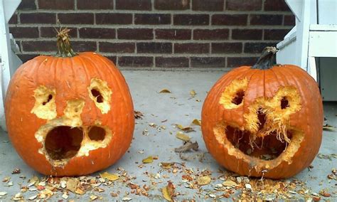 How To Train Squirrels To Carve Your Pumpkin This Halloween Flannel