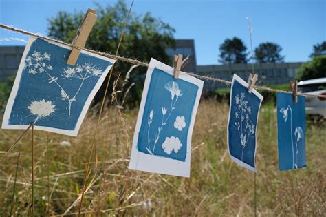 Quel matériel pour débuter le cyanotype Tout pour le cyanotype