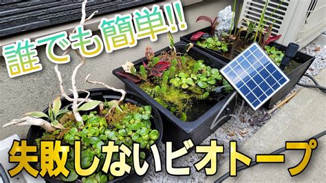 ビオトープに革命⁉ 誰でも簡単‼失敗しないビオトープ aquarium アクアリウム めだか 水草 流木 ビオトープ - YouTube