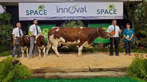 Live palmarès photos replay du concours Rouge des Prés au Space 2022