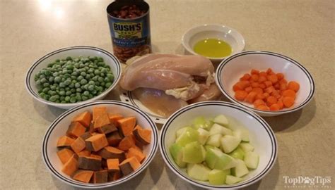 Homemade Grain Free Dog Food Recipe – Top Dog Tips