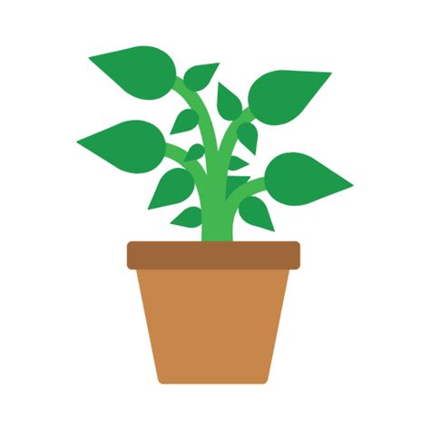 Escola Public Sant Jordi Houseplant Flowerpot Potted Plants Png