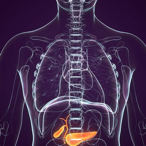 Enfermedades de la Vesícula Biliar – Gastroenterologo Ciudad de Mexico