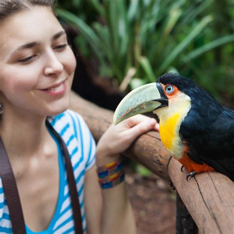 Parque Das Aves Routes Iguassu