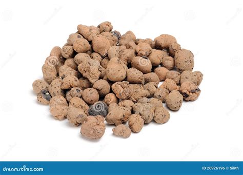 Expanded Clay Aggregate Grow Rocks Stock Photo Image Of Insulate