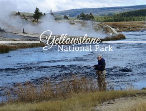 Adventure At Yellowstone Park