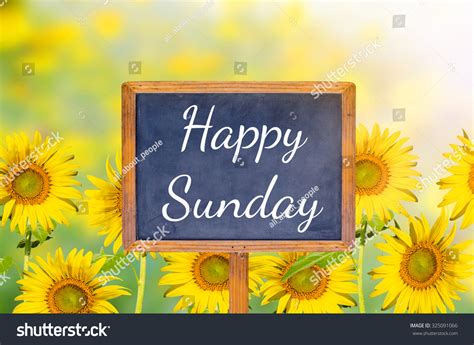 Happy Sunday On Blackboard Sunflower Background库存照片325091066 Shutterstock