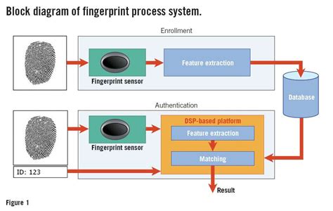 Dealing With The Minutiae Of Fingerprint Analysis