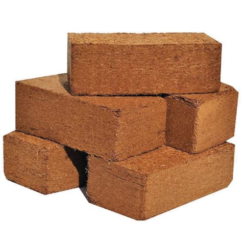 How To Use Coco Peat Bricks Benefits And How To Make It Nusagro