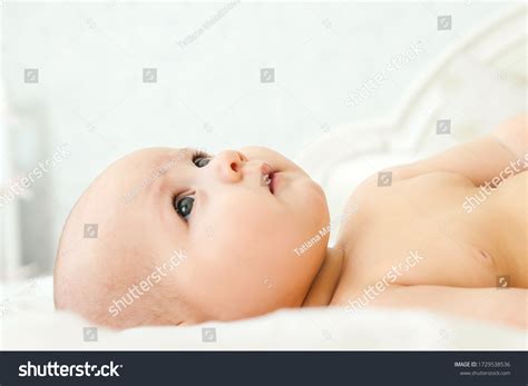 Naked Cute Baby Girl Lie On Stock Photo 1729538536 Shutterstock