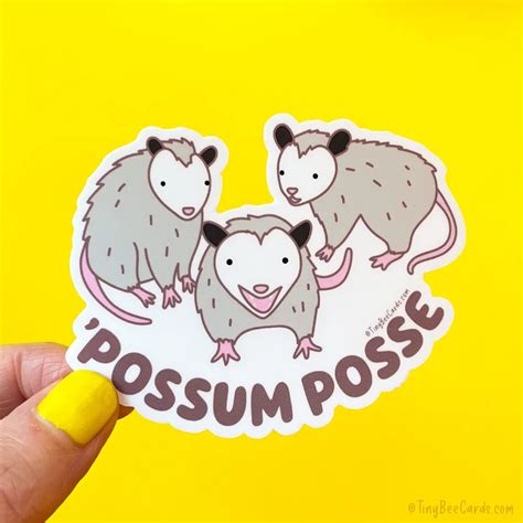 Funny Opossum Pals Vinyl Sticker Possum Posse Opossum Street Animals