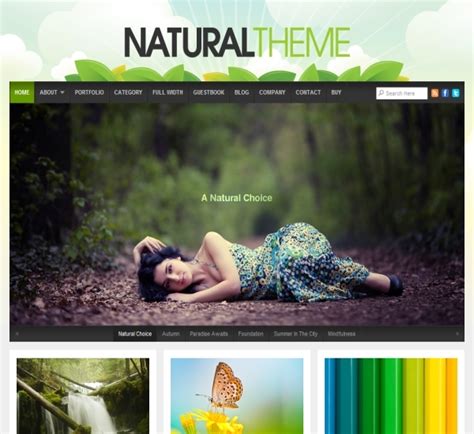 Organic Themes Natural Theme Review