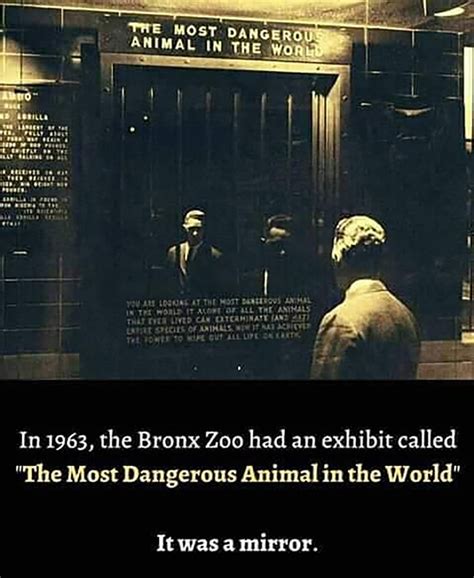 rarely  interesting history facts