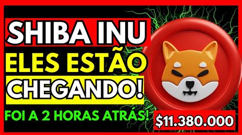 Shiba Inu Agora Oficial Eles Est O Chegando E Zeros V O Embora