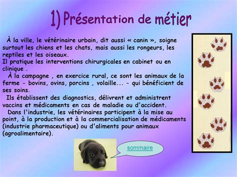 Fiche métier veterinaire