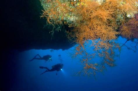 Blue Holes Are Huge Caverns Beneath The Seafloor That Are Carved Out By