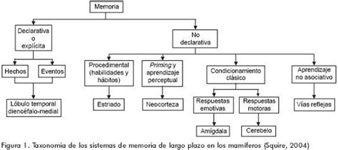 Sistemas De Memoria Rese A Hist Rica Clasificaci N Y Conceptos