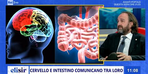 Elisir L Intestino Il Nostro Secondo Cervello