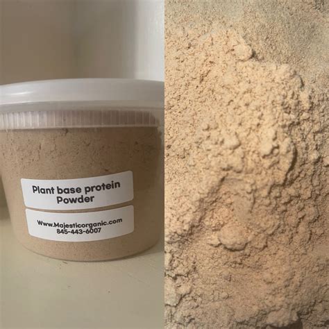 (Protein Powder) Plant base Protein Powder (PbP) – Majestic Organic Store