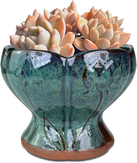 Amazon Summer Impressions Inch Glazed Terracotta Plant Pot