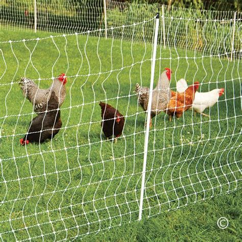 Poultrynet® And Poultrynet® Plus 12 42 3 Electric Netting Premier1supplies Backyard Farming