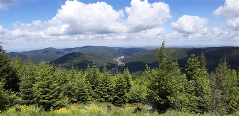 Naturpark Schwarzwald Mitte Nord