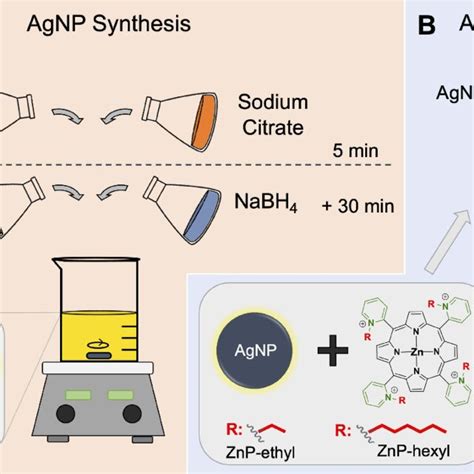 A Schematic Representation Of The Synthesis Of Silver Nanoparticles Download Scientific