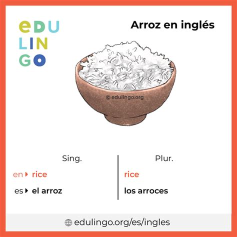 Eu Como Arroz Todos Os Dias Em Inglês - Arroz en inglés • Escritura y pronunciación (con imágenes)