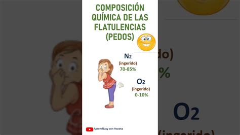 Shorts COMPOSICION QUIMICA DE UNA FLATULENCIA PEDO YouTube